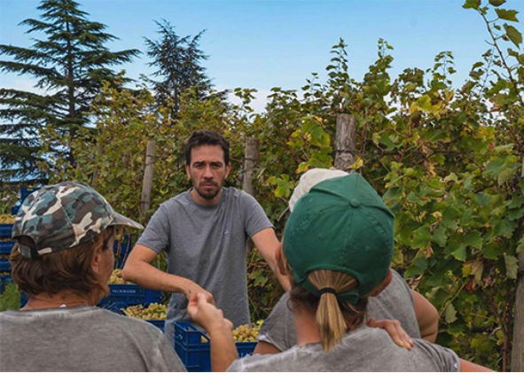 Marco Nicolosi of Barone di Villagrande in the vineyard on Mount Etna